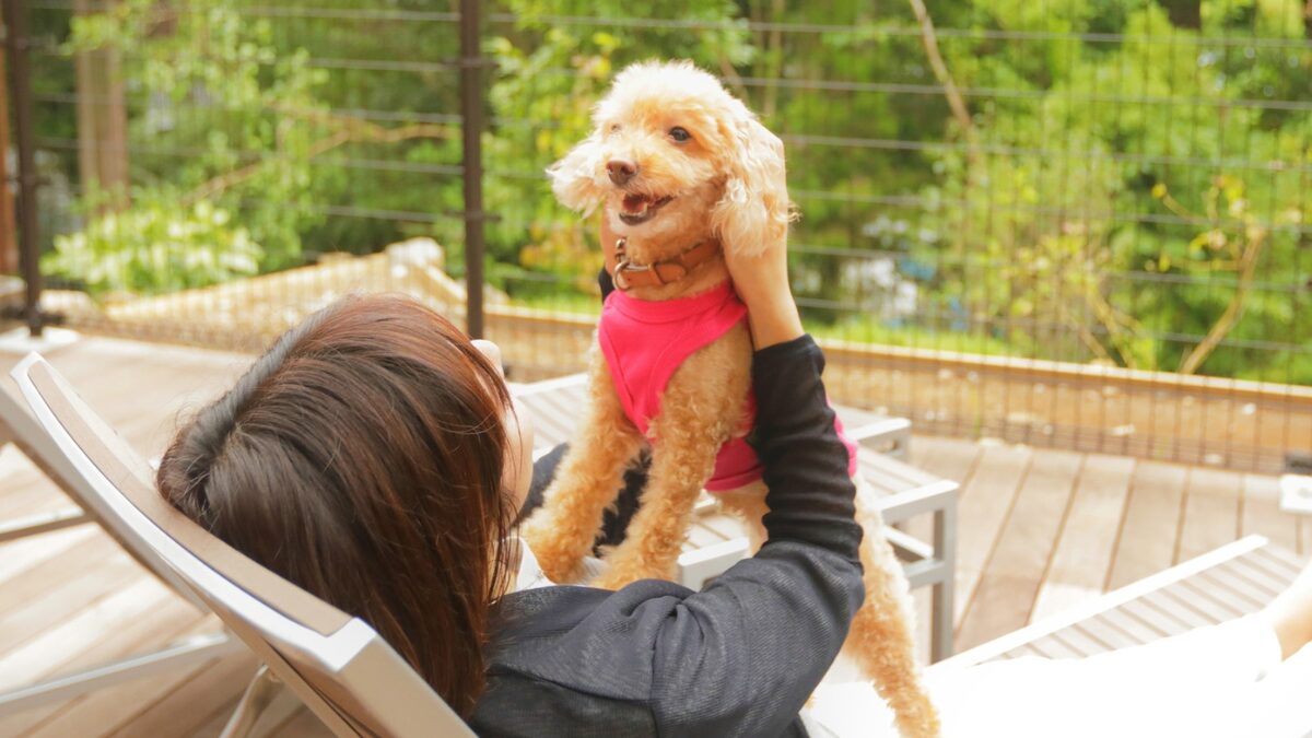 レジーナリゾート箱根仙石原でペットと戯れる宿泊者