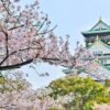 大阪城と桜