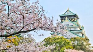 大阪城と桜