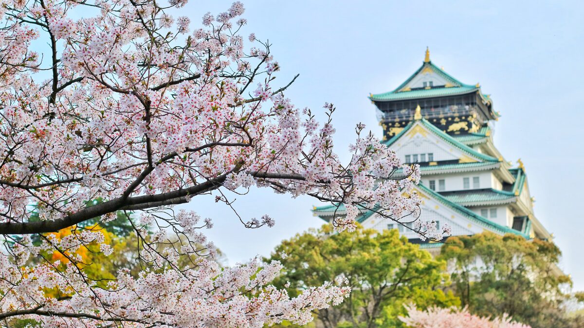 大阪城と桜