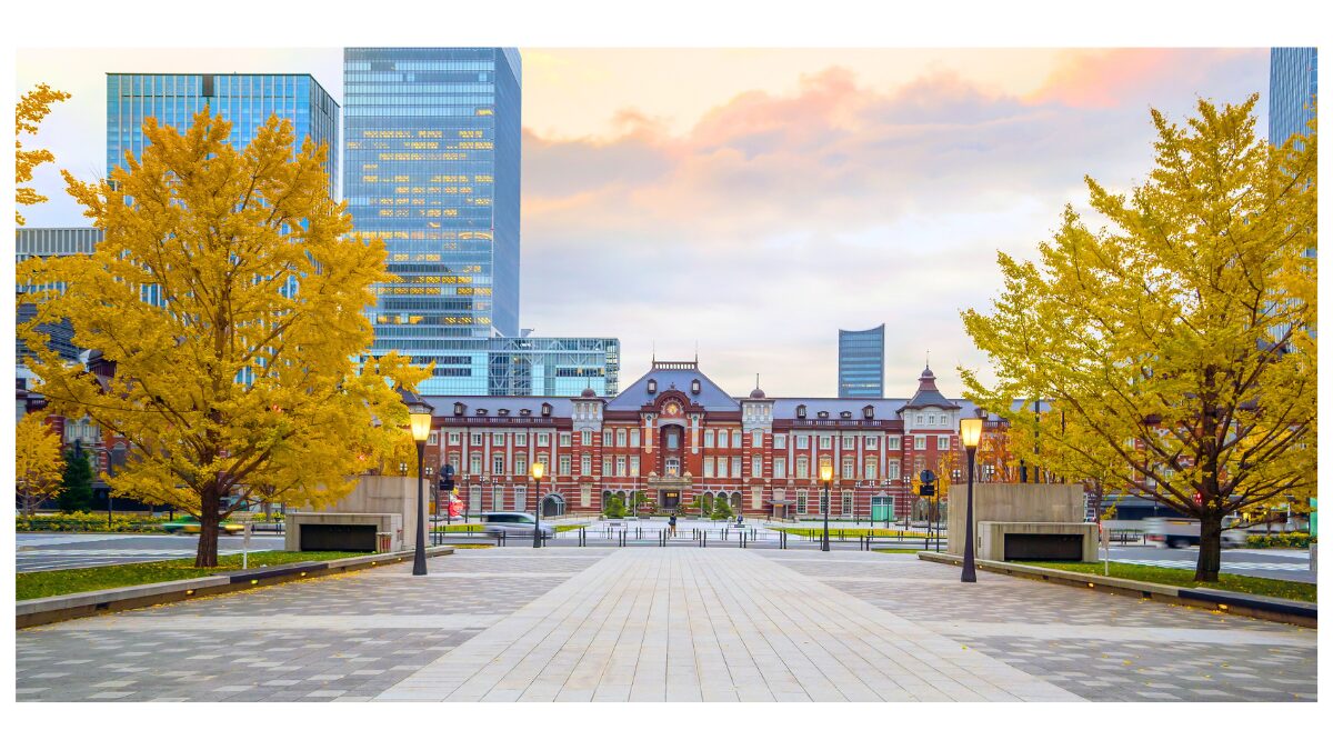 東京駅の銀杏並木の様子