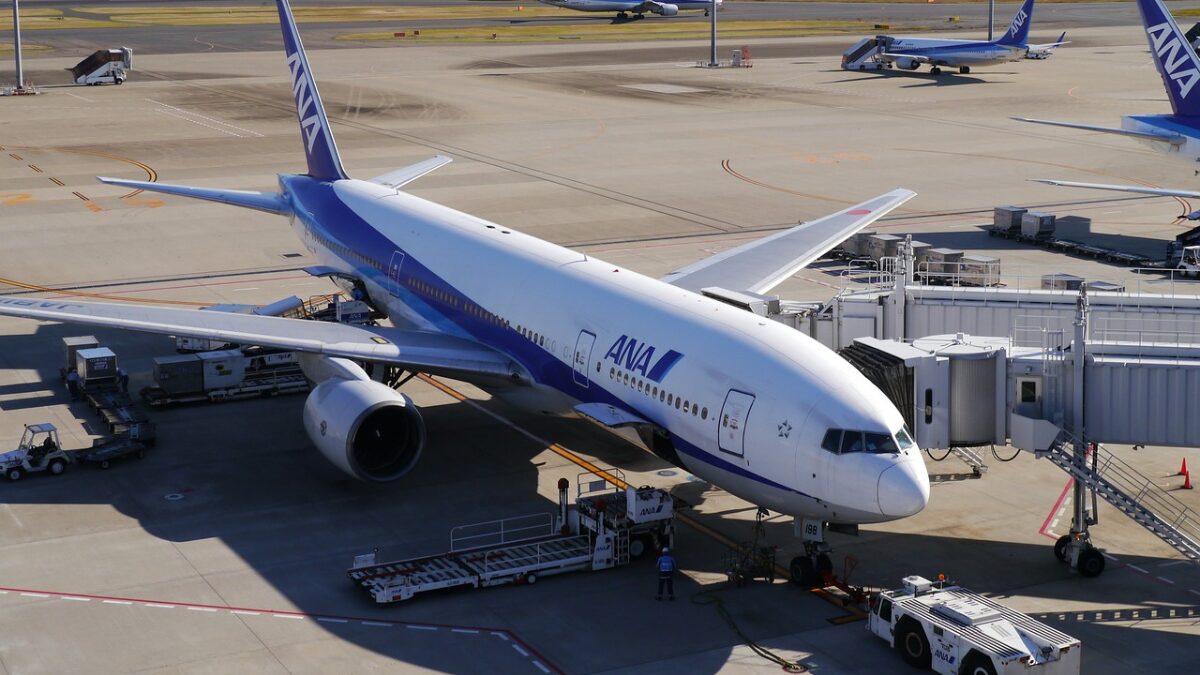 ANA スイートラウンジ 利用券 2枚セット 全日空 SUITE LOUNGE（徹底 