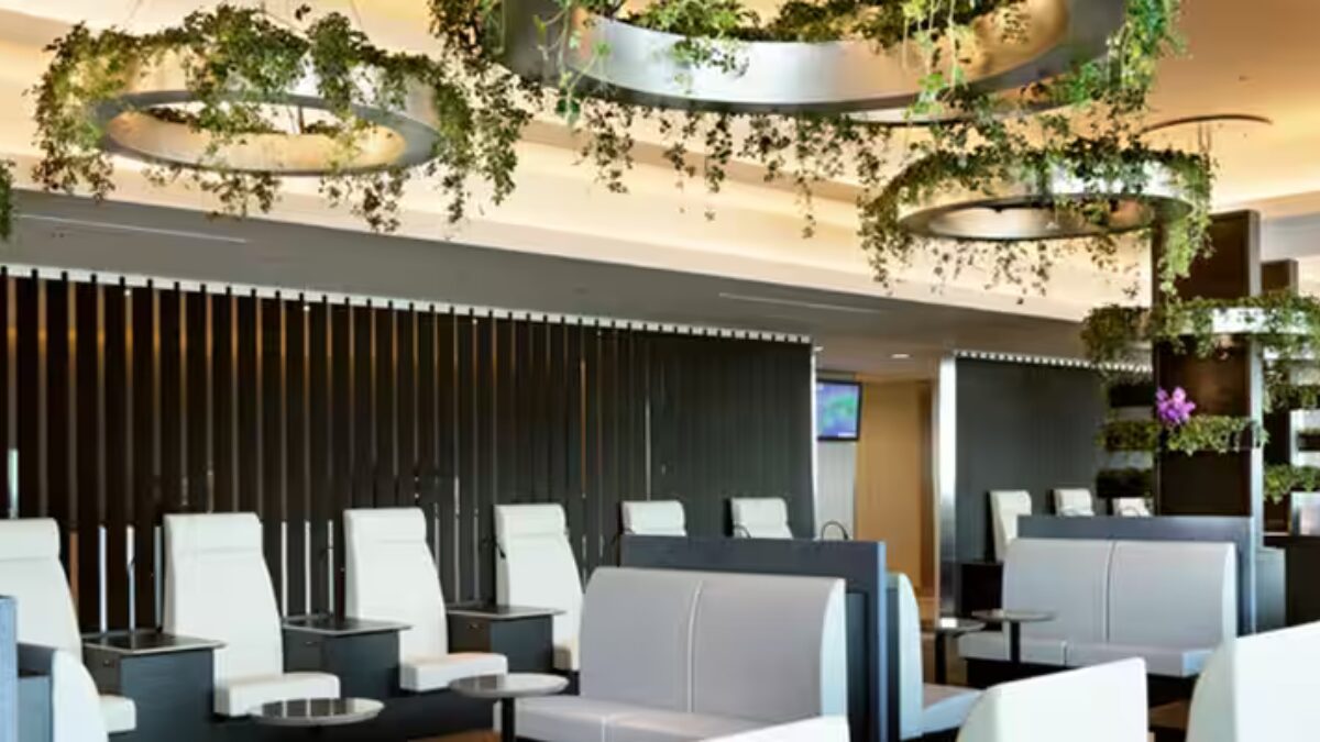 ANA SUITE LOUNGE利用券2枚セット有効期限2025年3月31日まで（ANA 