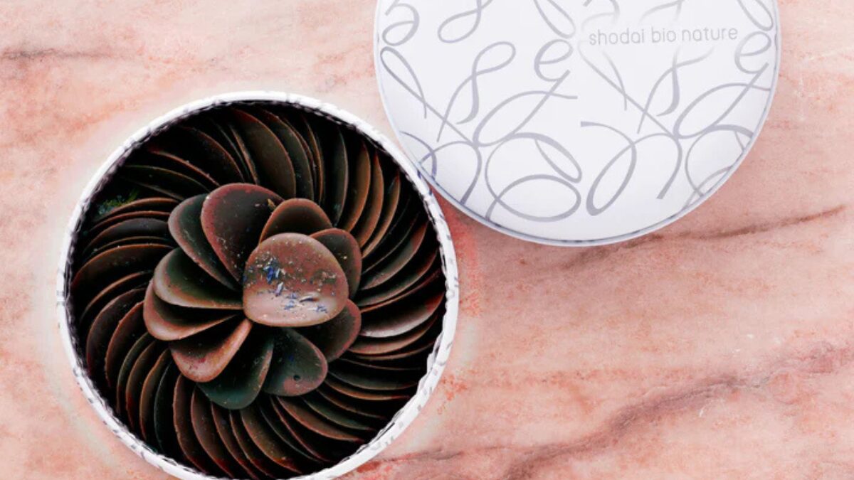 ペタルマホガニー