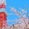 東京タワーと桜