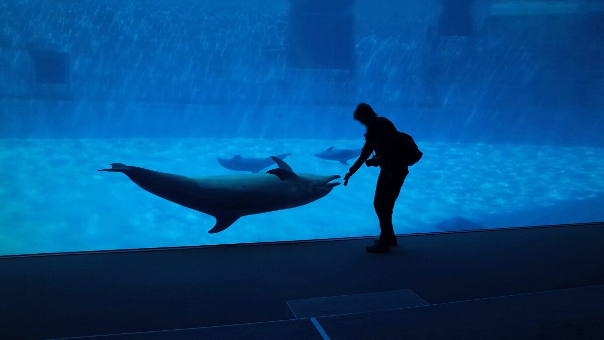 水族館の様子