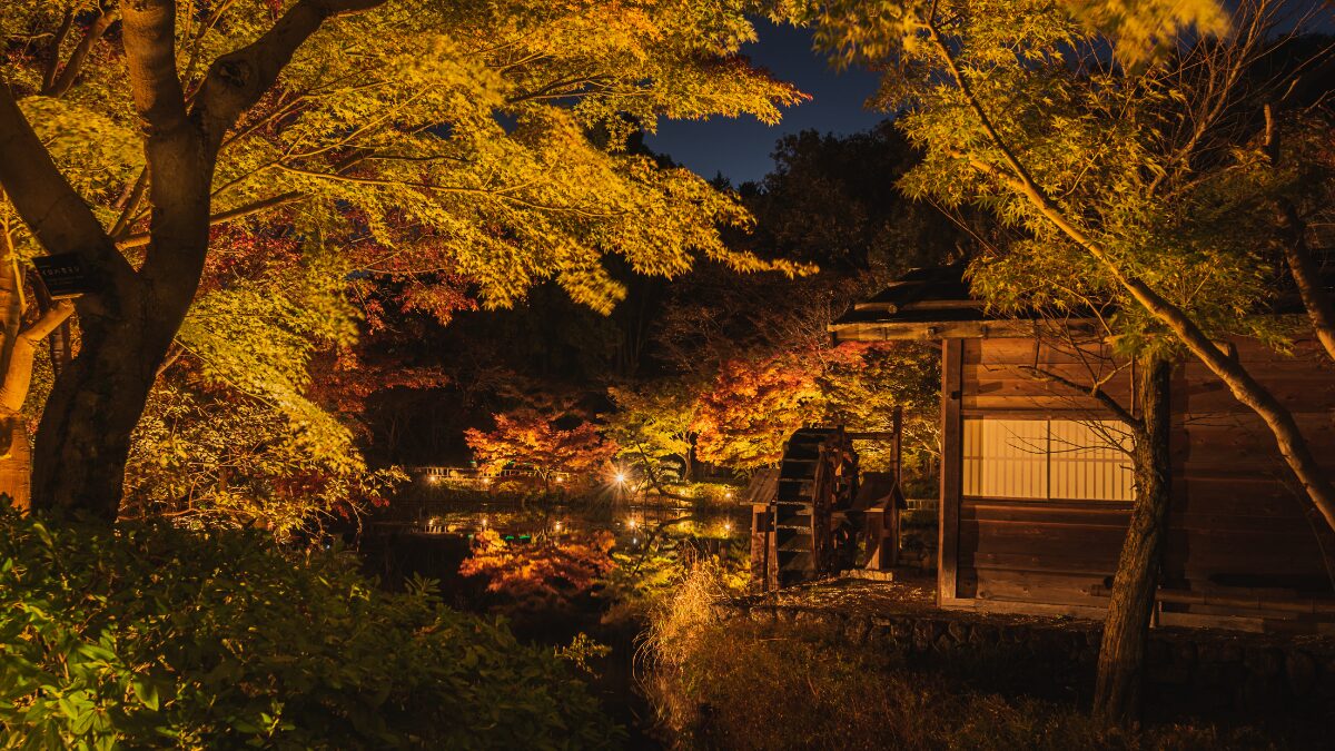 名古屋の観光スポット